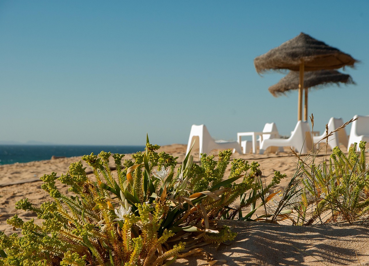 Spiaggia dell'Algarve con sabbia bianca e acque turchesi, panorama tropicale che ricorda i Caraibi.