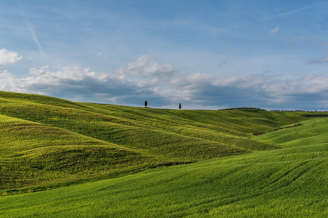 Panorama della Val d'Orcia con colline verdi e cipressi, simbolo della bellezza toscana.