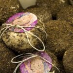 Pecorino sardo in un tipico borgo sardo, con paesaggio rurale e tradizione casearia.