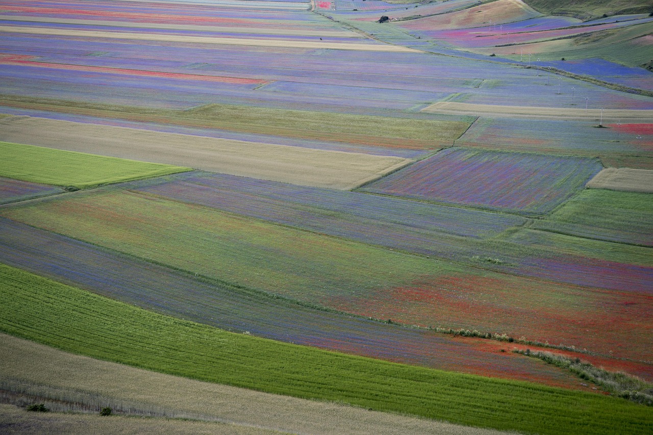 Borgo caratteristico con campi di lenticchie fioriti, colori vivaci a giugno.