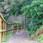 Famiglia che cammina lungo un sentiero facile in un parco naturale, circondata da alberi e natura.