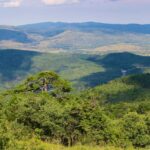 Vista panoramica delle montagne della Sila, con sentieri immersi nella natura e paesaggi spettacolari.