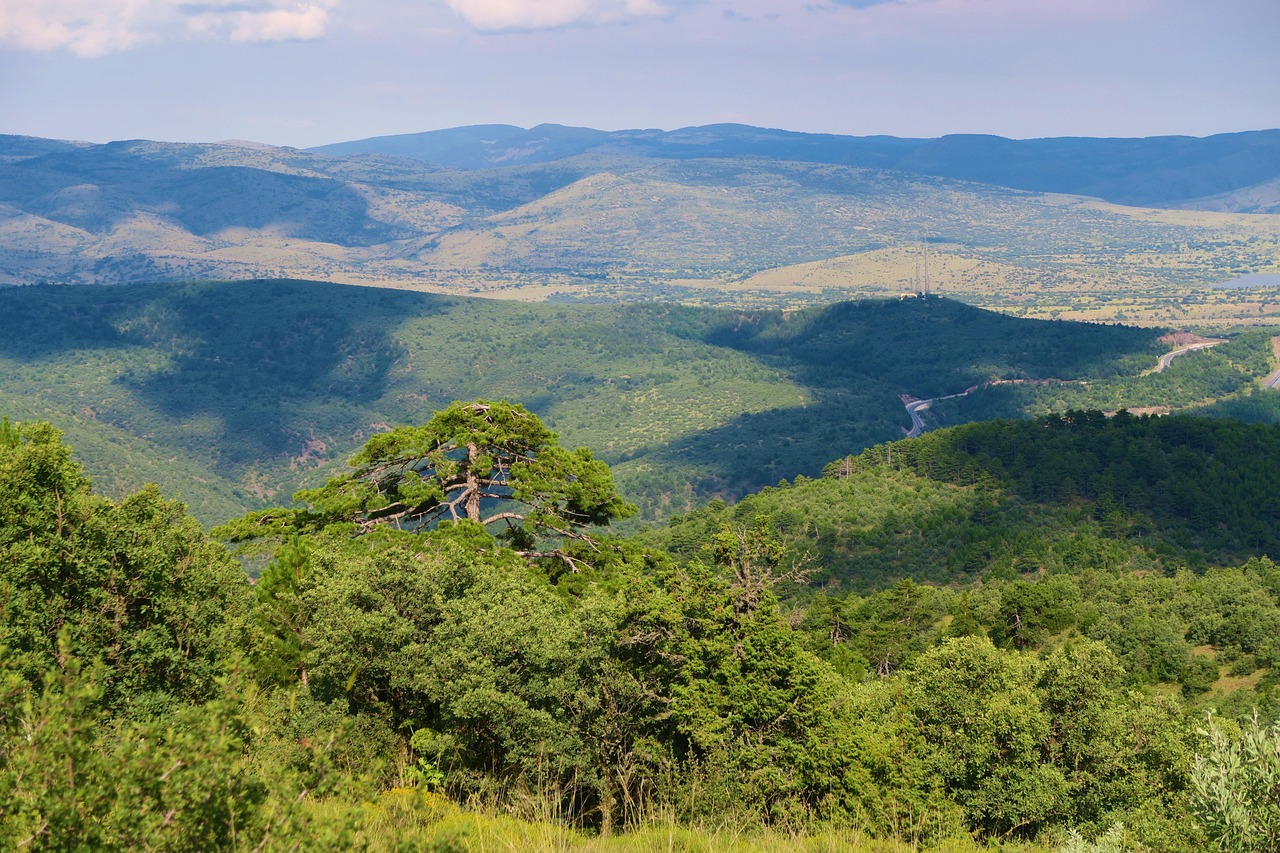 Vista panoramica delle montagne della Sila, con sentieri immersi nella natura e paesaggi spettacolari.