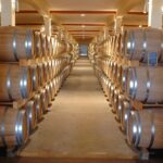 Degustazione di vini in una cantina siciliana con vista panoramica sull'Etna.