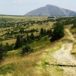 Famiglia che cammina su un sentiero panoramico circondato da natura.
